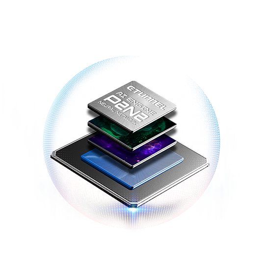 P2N2 Biometric Authentication integration layout