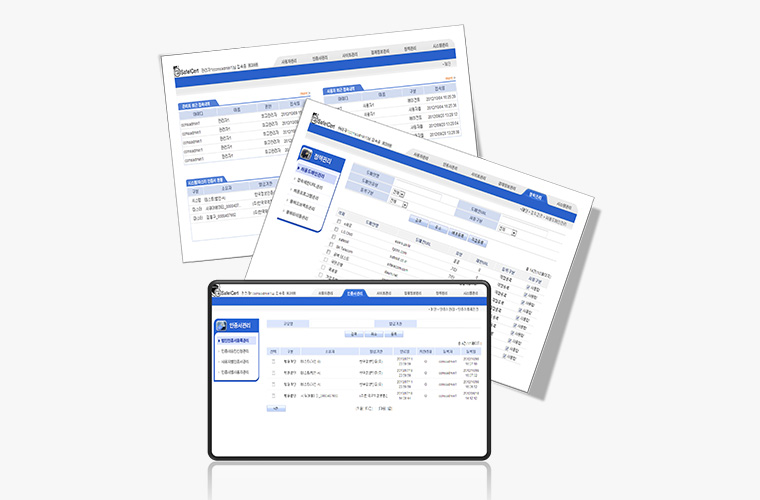 SafeICert Support Environments Diagram